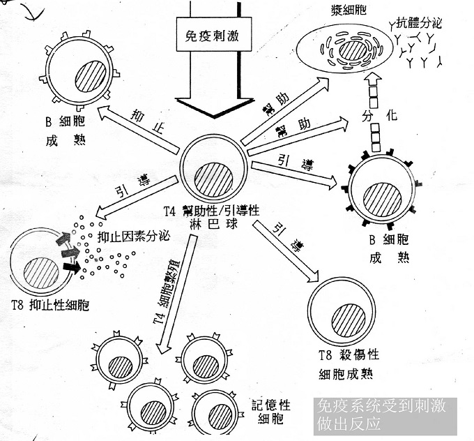 格力多联机制热压力